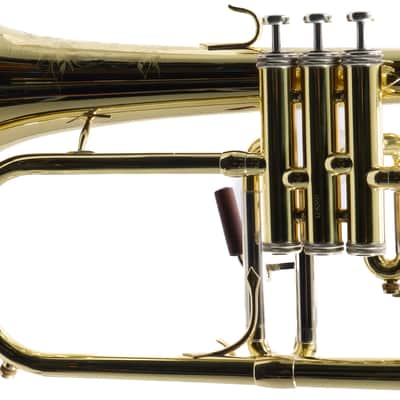 S.E. Shires Model Q19 Q-Series Professional Flugelhorn BRAND NEW image 9