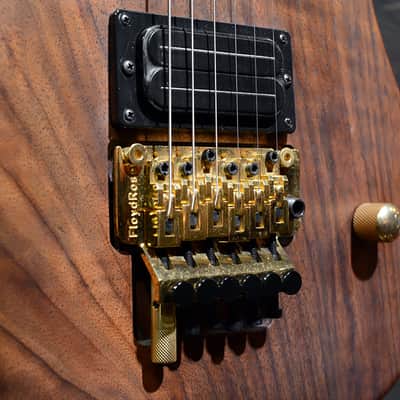 Washburn N4 WALNUT 25 LIMITED RUN Nuno Bettencourt Signature Series Free Shipping image 3