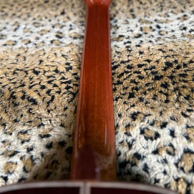 Cordoba C10-CD Cedar Classical Guitar 2025 - Natural image 17