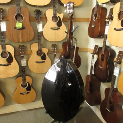 Gibson Kalamazoo KJ Mandobass c.1930's image 8