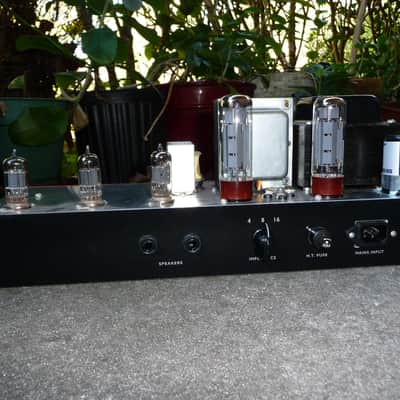 Immagine organdonor amplification custom  Plexi 50 lead model ppimv - 7