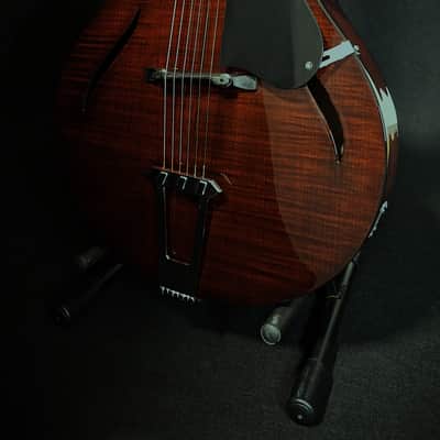 Fibertone 16SC 2026 - wine red image 4