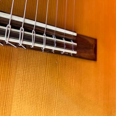 Asturias A18-11 11 String Altoguitar Alto Guitar image 13
