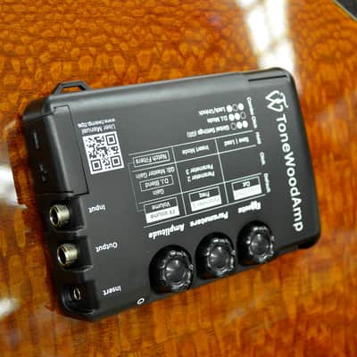 HONZ Tech ToneWood Amp for Acoustic Guitar image 2