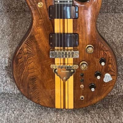 Ibanez MC400-DS 1978 - Dark image 1
