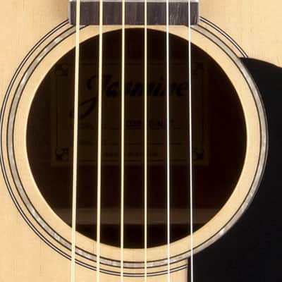 Jasmine JD36CE Cutaway Dreadnought Acoustic Electric Guitar image 9