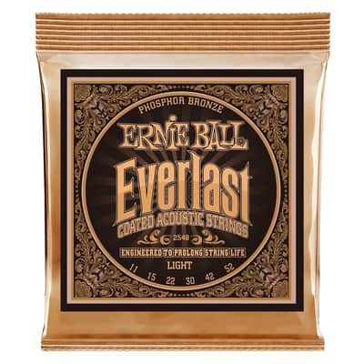 Immagine Ernie Ball 2548 Everlast Coated Phosphor Bronze Light 11-52 - 1