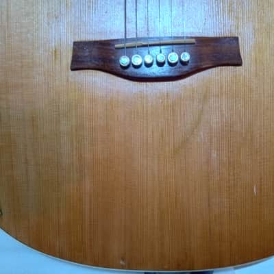 Seagull Entourage Dreadnought 2018 - Autumn Burst image 13