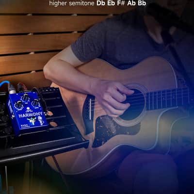 FLAMMA FV04 Vocal Harmony Pedal Vocal Effects Processor Stompbox Voice Mic Harmonizer with Reverb 12 Pitches with 11 Different Harmony Modes All-In-One for Singer and Guirist Singing Recording image 2