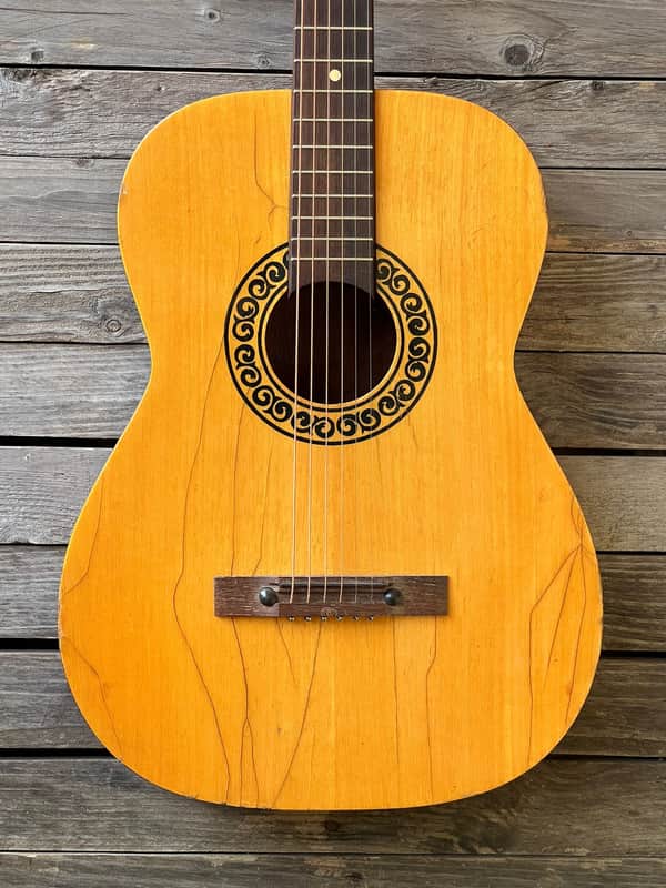 Folk Acoustic Guitar Clarissa Polverini Eko FiestaP1 P2 P10 image 1