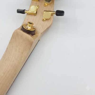 Electric violin - Violon électrique image 3