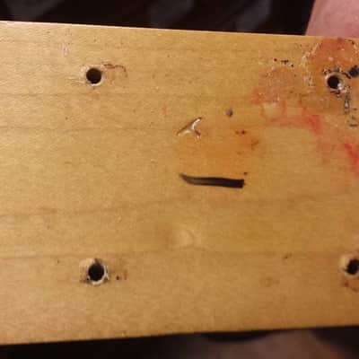 Fender Precision bass 1965 Lefty image 20