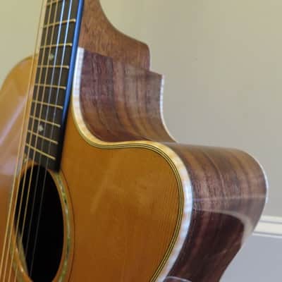 Goodall master Cedar/ AAA Claro Walnut Concert Jumbo Cutaway, with case. image 19