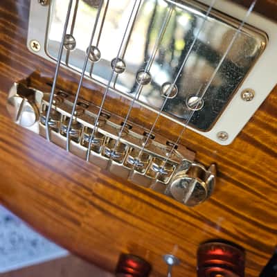 PRS Hollowbody II Piezo 25th Anniversary Artist Package 2005 - Tiger Flame image 9