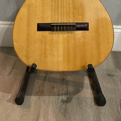 Giannini AWN 60 Nylon Acoustic Guitar 1974 - Brazilian Rosewood image 2