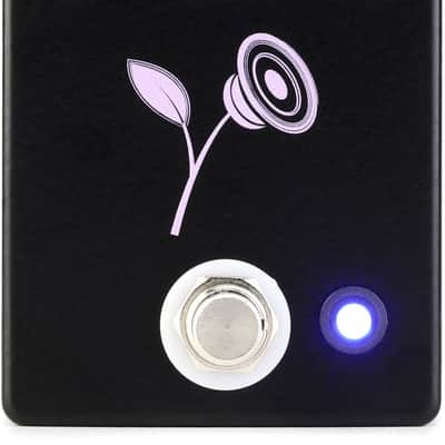 JHS Violet Lari Basilio Signature Distortion/Overdrive Pedal - Black image 1
