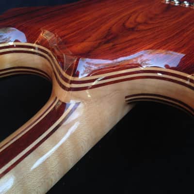 Waldschmidt Guitars - Electric Mandolin - Jerry Garcia, Tiger Guitar style image 18