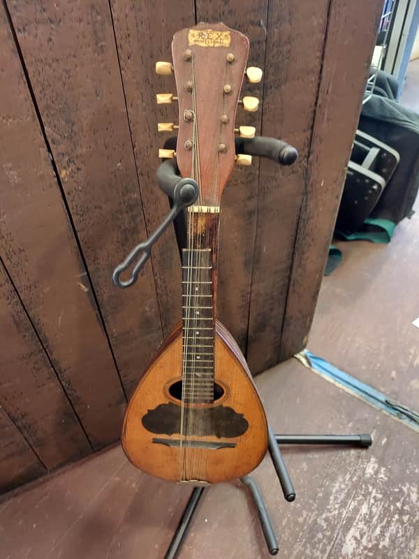Vintage Rex Professional Bowlback Mandolin | Reverb