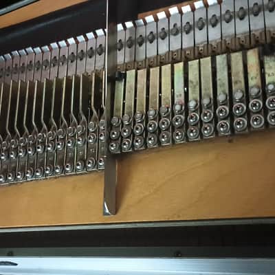 1973 Fender Rhodes Mark I Stage 73 - Key "Dyno" Electric Piano (has rare "Dyno-My-Piano" Pro Eq) - Collectors) image 7