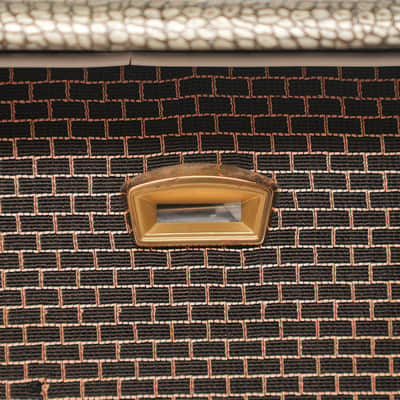 1960s – Selmer Zodiac Twin Thirty: 2x12 Combo – Live Rentals by John Mayer, Rich Costey image 8