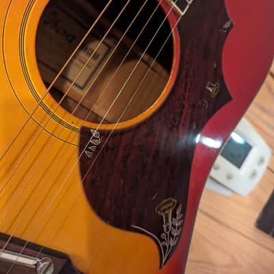 Ibanez E-684 Concord Hummingbird Acoustic Guitar 1976 w/hard case image 6