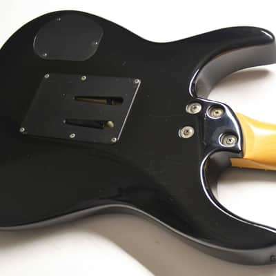 Fernandes  FR-65 image 9