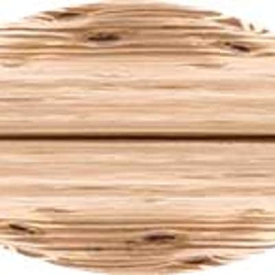 MEINL B16FRH image 4