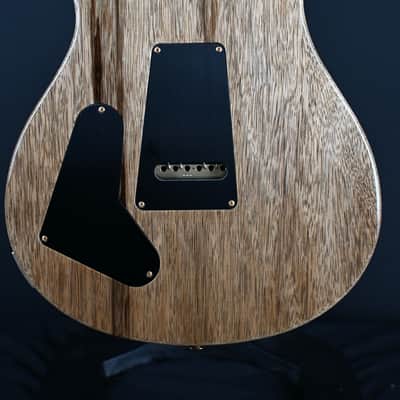 PRS 40th Anniversary Special Semi-Hollow Limited Edition Faded Whale Blue (Natural Back) #755 image 18