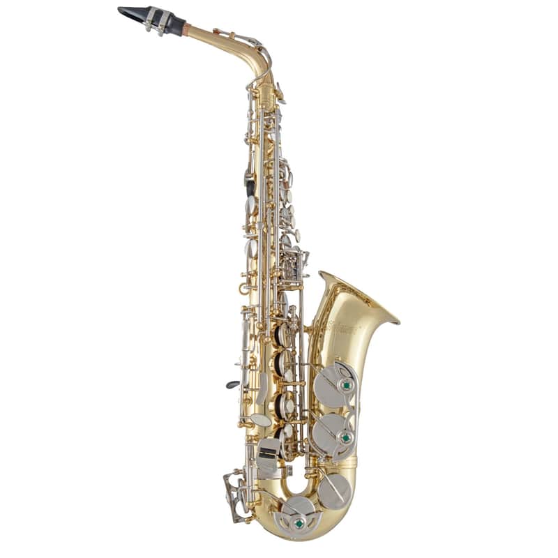 Selmer SAS201 Student Alto Saxophone image 1