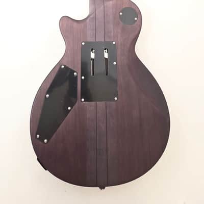 AL-3200MCC-P Agile Special Edition Signature Guitar w/Floyd Rose Chris Poland Charcoal image 5