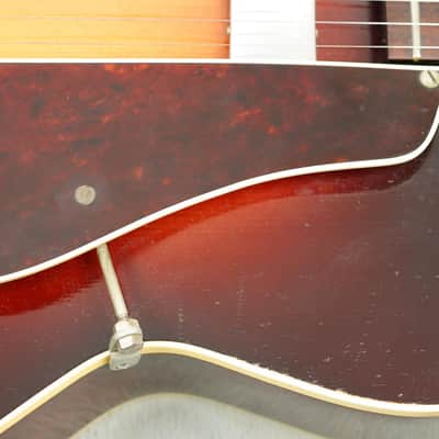 1964 Levin 335 - Sunburst | Ace - Skunk Anansie Collection image 13