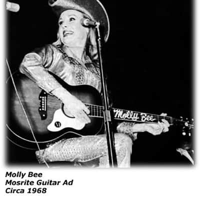 Mosrite Balladere I 1968 Sunburst image 6
