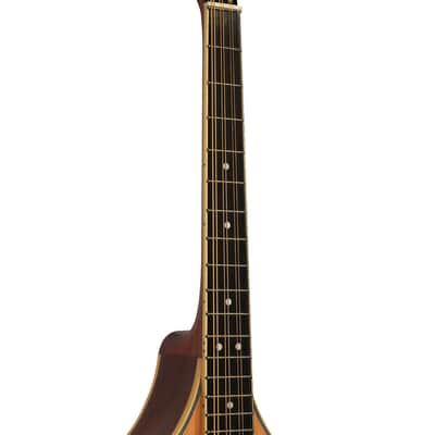 Gold Tone OM-800+/L Arched Solid Spruce Octave&Mahogany Neck Mandolin w/Hard Case For Lefty Players image 8