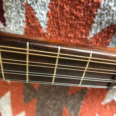 Fancy Bowlback Mandolin, Early 20th Century, Excellent Condition image 17