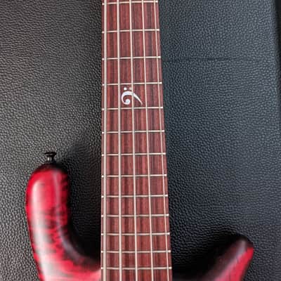 Spector 5w LE 2017 Black Cherry image 4