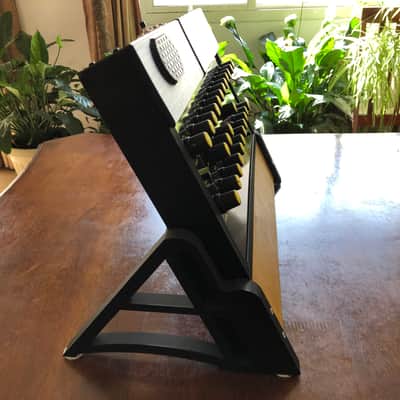Jasper Synth DP WASP clone with 3D printed enclosure and desktop stand image 3