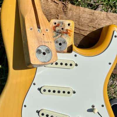Vintage Featherweight Blonde Fender Stratocaster 1972-1975 7.2lbs image 18