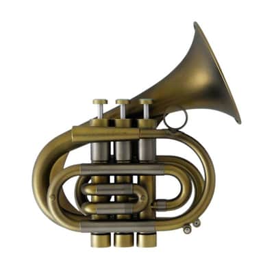 Brasspire Brassspire / P7 CUSTOM MODEL DML [Bb Pocket Trumpet] [Made to order] image 1