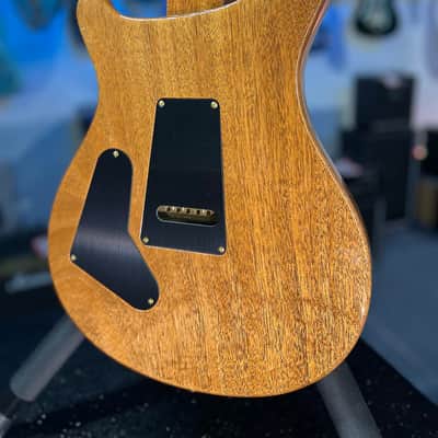 PRS Wood Library Custom 24 Fatback - Custom Color - Quilt 10 Top, Brazilian RW, Paisley Case 293 image 15