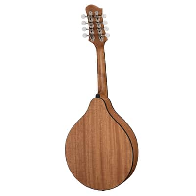 Eastman PCH-M104 Flattop Oval Hole Natural image 2