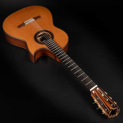 2018 Hanika Fusion PC - Natural | Made in Germany Professional Line Masterbuilt Classical Guitar Cedar Rosewood 50mm Nut Cutaway | CoA OHSC image 7