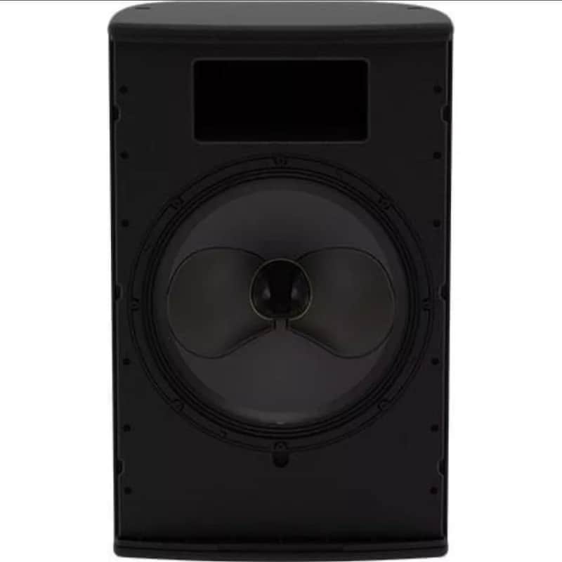 Martin CDD15 | 15" Passive Coaxial Differential Dispersion On-wall Loudspeaker. New with Full Warranty! image 1