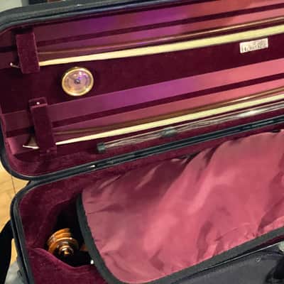 *USED w/ CASE* Eastman Giuseppe Galiano 4/4 Violin image 6