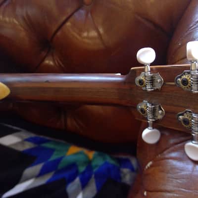 Bailey Tenor Ukulele Redwood/Maple image 6