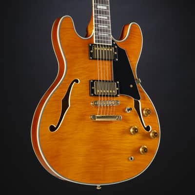 J & D SH 40 TA Transparent Amber  - Semi Acoustic Guitar image 6