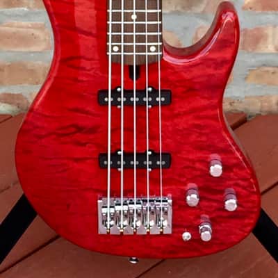 Mike Lull Bryan Beller Signature image 3