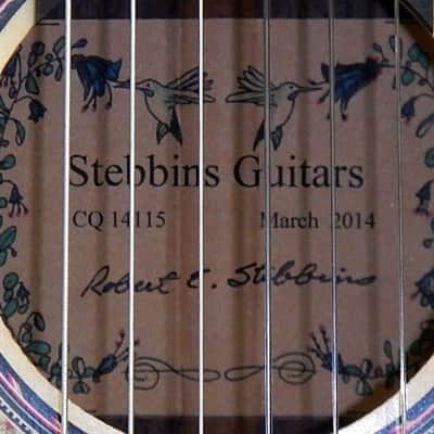 Robert Stebbins concert classical image 8