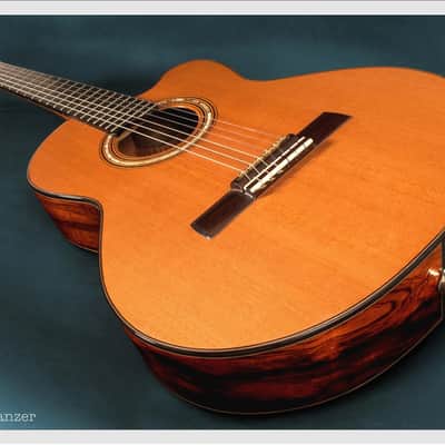 Linda Manzer Nylon String image 7