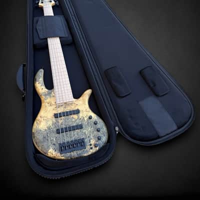 Elrick EVO Gold 6 String Buckeye 2024 - Natural image 2