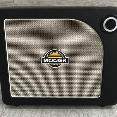 Mooer Hornet 30i image 8